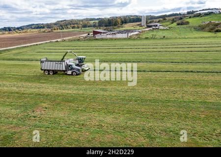 Clymer, New York - Alfalfa Ernte auf einer Farm im Westen von New York. Stockfoto