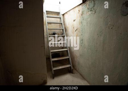 Keller Holztreppe führt hinunter zu Stein und Ziegel unteren Ebene in dunklen Keller, alte verlassene Gebäude Stockfoto