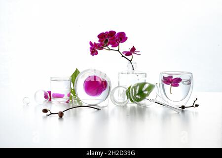 Reflexionen, florale Elemente im Wasser verzerrt. Natürliches Labor. Abstraktes Blumenarrangement mit magentafarbenen Orchideenblüten und exotischen Monstera Stockfoto