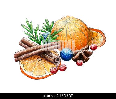 Weihnachten Komposition Hand Bleistift Zeichnung Skizze von Weihnachten Design. Mit Mandarinen-Preiselbeere-Zimtschnecken Sternanis-Nelken Rosmarinorange. Auf weißem Hintergrund. Für Ihr Design. Stockfoto