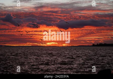 Montreal, Quebec, Kanada, Oktober 18,2021. Sonnenuntergang über dem St-Louis See in Lachine, Quebec. Mario Beauregard/Alamy News Stockfoto