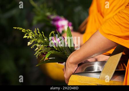 Die Hände buddhistischer Mönche aus der Nähe erhalten während ihrer Almosen am Morgen Nahrung und Blumen. Religion, Kultur, Lebensstil. Konzentrieren Sie sich auf Blumen. Stockfoto