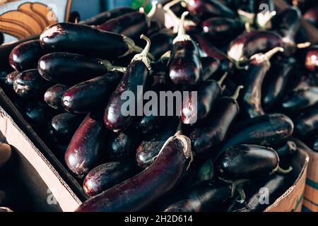 Frisches Bio gesundes Auberginen Gemüse in Kunststoffboxen Armers Markt. Lokale Produkte. Stockfoto