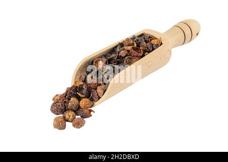 Getrocknete Hagebutte in Holzlöffel isoliert auf weißem Hintergrund. Kräuter und Lebensmittelzutaten. Stockfoto