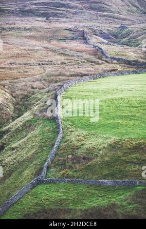 Traditionelle Trockenmauern trennen Land auf einem zerklüfteten Hügel in Swaledale, Yorkshire Dales National Park, Richmondhsire, North Yorkshire, England Stockfoto