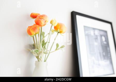 Vase von Orange Ranunculus in einem hellen Zuhause Stockfoto