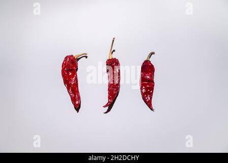 Kreatives Layout aus drei roten Paprika auf grauem Hintergrund. Draufsicht, flach liegend. Minimales Essen und saisonspezifisches Konzept. Stockfoto