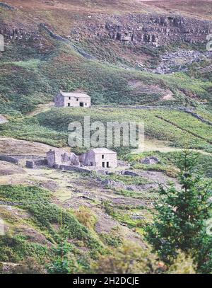 Im Vordergrund Crackpot Hall und hinter der ehemaligen Beldi Hill Bleibergwerk-Schmiede, Swaledale, Yorkshire Dales National Park, Richmondshire, North Yorkshire Stockfoto