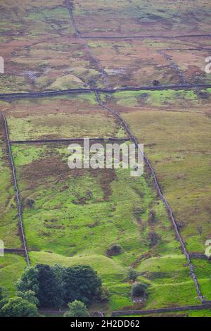 Zerklüftete Hangfelder, die durch Trockenmauern getrennt sind, Swaledale, Yorkshire Dales National Park, Richmondshire, North Yorkshire, England Stockfoto