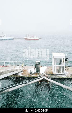 Kraftstoffdosierer zwischen Treppen und Kabine auf schwimmenden Dock gegen festgeklemmten Schiffen auf dem wellten Meer im Nebel in Island Stockfoto