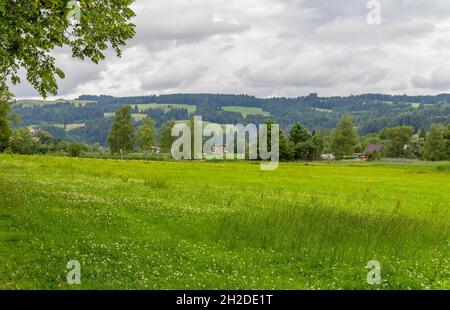 Idyllische Landschaft rund um Immenstadt, einer Stadt im Oberallgäu in Bayern, Deutschland Stockfoto