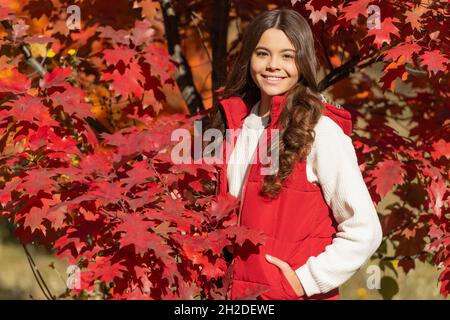 Natürliche Schönheit. Herbstsaison Mode. Teen Mädchen mit lockigen Haaren zwischen Herbstblättern. Stockfoto