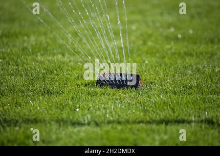 Gartenbewässerung mit gepflegtem Rasen Stockfoto