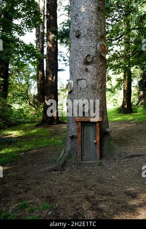 Kleine hölzerne Märchentür in einem Baumstamm im Zauberwald Stockfoto