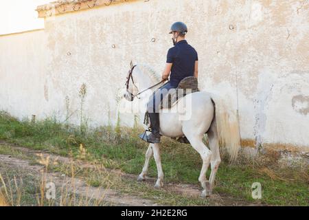 Von hinten gesehen reitet ein bärtiger Kaukasischer in Reitkleidung und Helm auf seinem weißen Pferd einen Weg an einer Wand entlang. Stockfoto