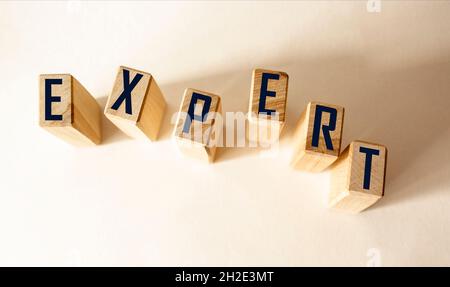 Experte Wort auf Holz Block geschrieben. expert Text auf Tisch, Konzept. Stockfoto