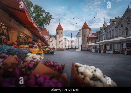 Viru-Tor mit dem Rathaus von Tallinn im Hintergrund - Tallinn, Estland Stockfoto