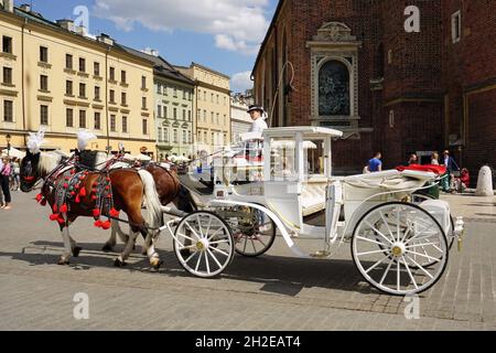 Pferdekutschenfahrten in der Altstadt von Krakau. 20.05.2018, Krakau, Polen Stockfoto