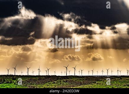 Walney Island, Barrow-in-Furness, Cumbria, Großbritannien. Oktober 2021. Viel Windkraft, wenn sich über der Walney Wind Farm, 9 Meilen vor Walney Island, Cumbria, Großbritannien, Gewitterwolken sammeln Credit: John Eveson/Alamy Live News Stockfoto