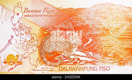 20 Piso-Banknote, Bank of Philippines, Nahaufstellung Bill Fragment zeigt Kartenumriss der Philippinen, Banaue-Reisterrassen (UNESCO-Weltkulturerbe). Stockfoto