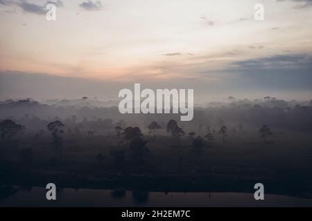 Amazonas. Foto aus einer Höhe. Stockfoto