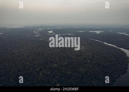 Amazonas. Foto aus einer Höhe. Stockfoto