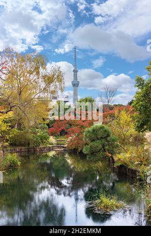 tokio, japan - november 13 2020: Tokyo Skytree Tower, der sich im Teich der japanischen Mukojima-Hyakkaen-Gärten von higashi-mukojima spiegelt Stockfoto
