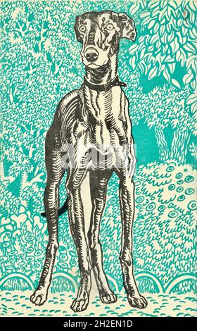 Moriz Jung Artwork - Greyhound - Wiener Werkstätte Stockfoto