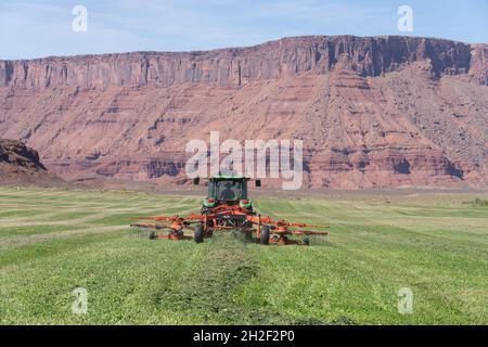 Ein Rancher fährt auf einer landschaftlich reizvollen Ranch in Utahs Red-Rock-Canyon-Land einen rotierenden Heuraken hinter einem Traktor. Stockfoto