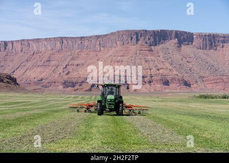 Ein Rancher fährt auf einer landschaftlich reizvollen Ranch in Utahs Red-Rock-Canyon-Land einen rotierenden Heuraken hinter einem Traktor. Stockfoto