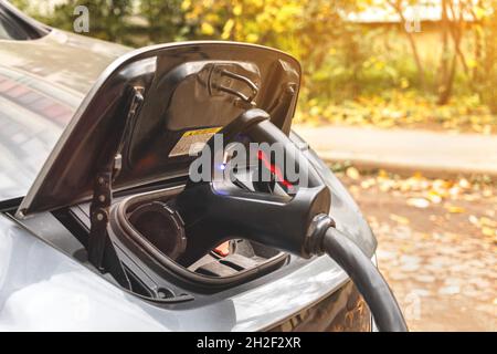 Eletric Autoladegerät im Außenbereich auf der Nahaufnahme der Straße mit herbstlichem Hintergrund eingesteckt Stockfoto