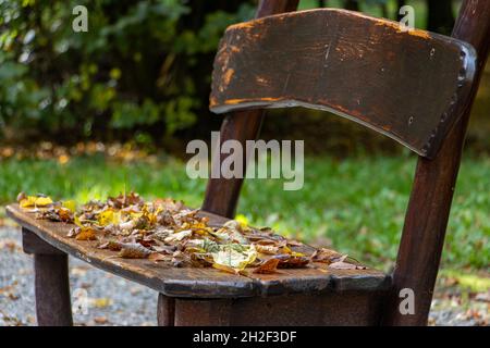 Eine Bank im Herbstpark, bedeckt mit heruntergefallenen Blättern Stockfoto