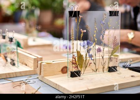 Eine Frau fixiert Glasplatten. Meisterkurs zur Rahmenerstellung mit Herbarium in tiffany-Technik in Buntglas. Herbarium von getrockneten verschiedenen Pflanzen Stockfoto