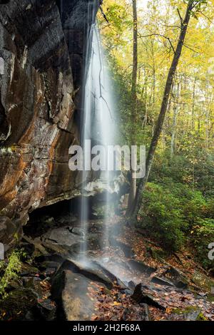 Slick Rock fällt im Herbst - Pisgah National Forest, Brevard, North Carolina, USA Stockfoto