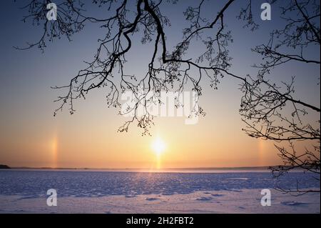 Sonnenhund Halos auf beiden Seiten der Sonne. Kalte Winterlandschaft mit gefrorenem See. Im Vordergrund hängen Baumzweige. Stockfoto