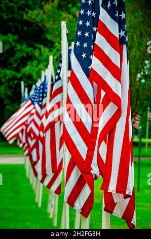 Amerikanische Flaggen sind in einer Straßenanzeige für den 4. Juli, den 3. Juli 2021, in Grand Bay, Alabama, gruppiert. Stockfoto
