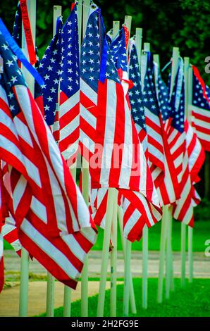 Amerikanische Flaggen sind in einer Straßenanzeige für den 4. Juli, den 3. Juli 2021, in Grand Bay, Alabama, gruppiert. Stockfoto