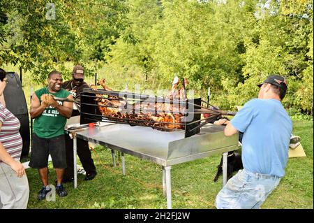 Das schwere, mit Spucken geröstete ganze Schwein auf einen Tisch draußen auf einer Farm im Mittleren Westen in Blanchardville, Wisconsin, USA, zu bringen Stockfoto