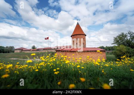 Kaunas Castle - Kaunas, Litauen Stockfoto