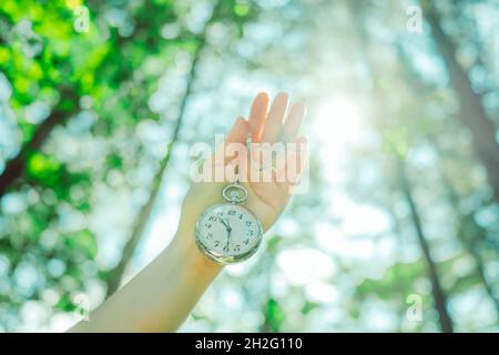 Taschenuhr im Wald Stockfoto