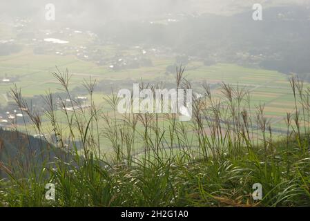 Grasland in der nördlichen Somma von Mt. Aso, Präfektur Kumamoto, Japan Stockfoto