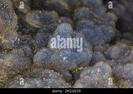 Nahaufnahme von druzigem Quarz in fast boitroidalen Formationen.Kristalle sind pastellblau gefärbt. Stockfoto