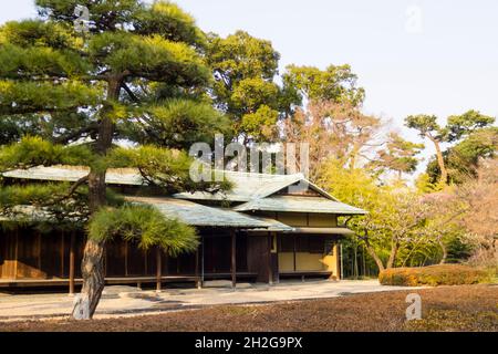 Suwa Tea House des Imperial Palace East Garden in Tokio Stockfoto