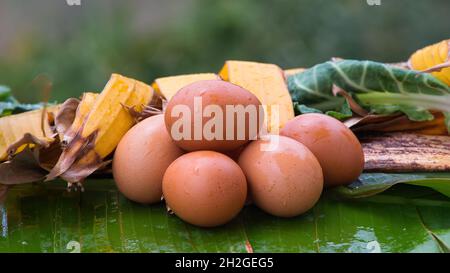 Frische Hühnereier vom Nest, Haufen von braunen Eiern im Nest auf dem Bauernhof Stockfoto