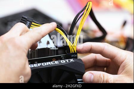 Anschließen des Netzteils an die Grafikkarte über ein PCI-E 8-poliges Kabel. Nahaufnahme der Person, die die Computergrafikkarte auf einem professionellen Computer installiert. Russland, 17.0 Stockfoto