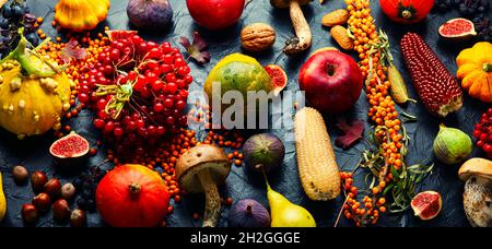 Herbststillleben von Kürbissen, Pilzen, Äpfeln, Feigen und Beeren.Herbstfutter Stockfoto