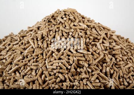 Holzpellets Stockfoto