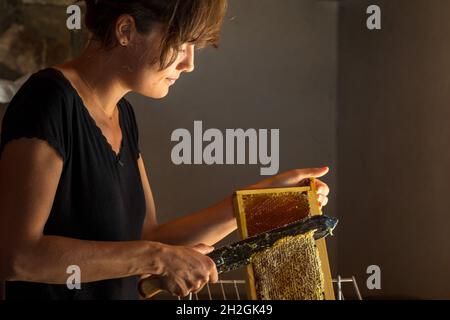 FRANKREICH. ISERE (38) VENEON-TAL, ECRINS-NATIONALPARK, VENOSC, LA DANCHERE, MARGOT UND DIDIER PISSARD, IMKER, BIENENHAUS DER DANCHERE, HONIG VON O Stockfoto