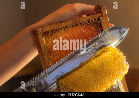 FRANKREICH. ISERE (38) VENEON-TAL, ECRINS-NATIONALPARK, VENOSC, LA DANCHERE, MARGOT UND DIDIER PISSARD, IMKER, BIENENHAUS DER DANCHERE, HONIG VON O Stockfoto