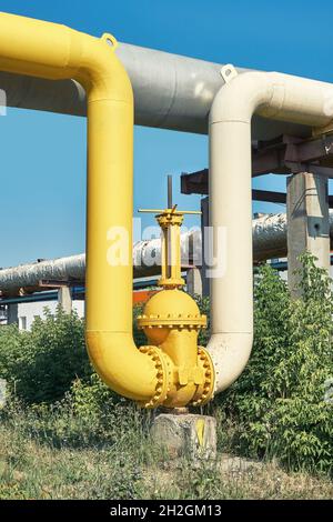 Großes Wasserabsperrventil mit Flanschen und Hebel am Rohrleitungssystem in grünen Büschen gegen klaren blauen Himmel am sonnigen Frühlingstag Stockfoto